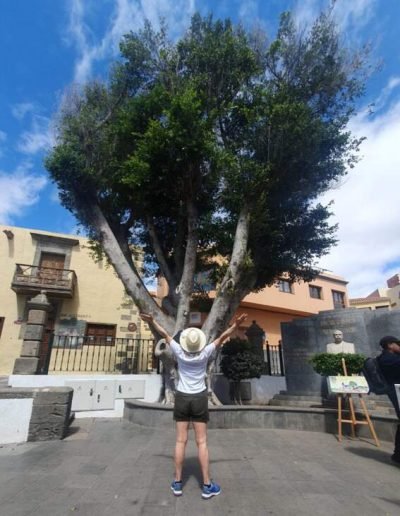 Lady looking up at a tree and the sky with arms outstreched